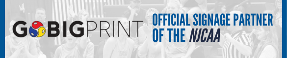 https://www.gobigprint.com/