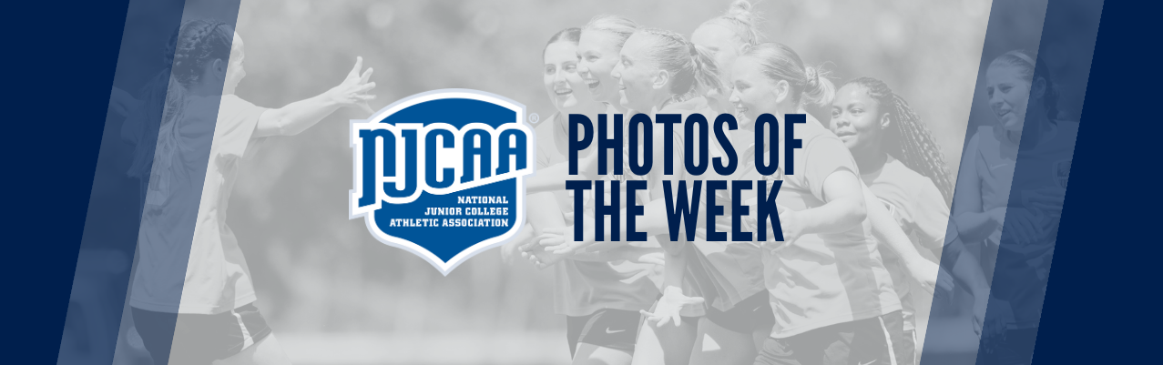 Photos of the Week