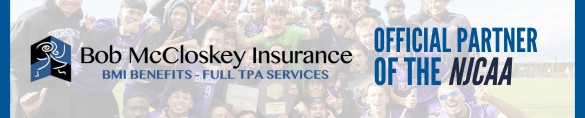 Banner Title