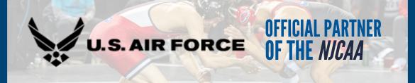 Banner Title